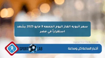 سعر أنبوبة الغاز اليوم الجمعة 9 مايو 2025 يشهد استقراراً في مصر